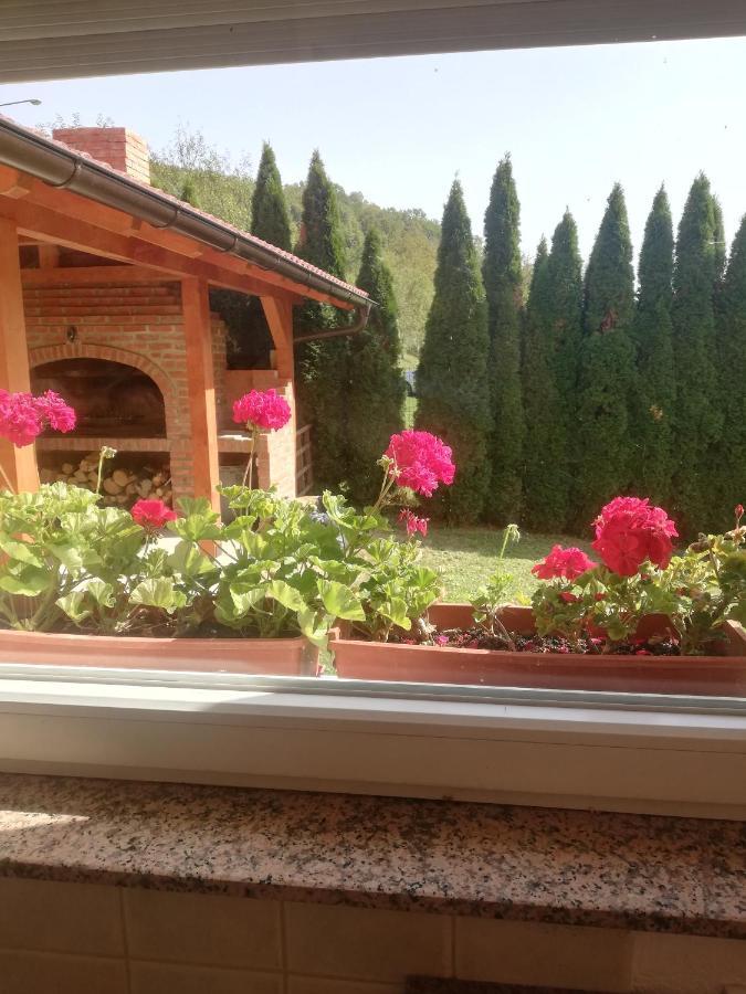 Holiday Homer Kuca Na Obali Vrbasa Banja Luka Exterior foto